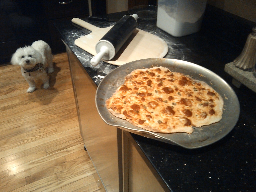 Alex's pizza and the Stoecker's dog Mandy in their home kitchen.