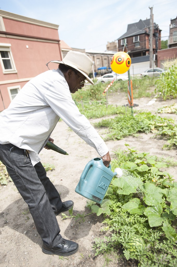 Syl Johnson uses rain water in his garden. (Paul Natkin photo)